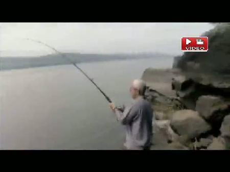 Timsah yiyen balık!